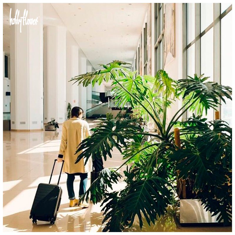 HobbyFlower's tweet photo. No plant, no good interior design. 
We can help you with your project. Just tell us! 
comercial@hobbyflower.com

Image: Malaga-Costa del Sol Airport | Collection STEEL https://t.co/Tw8VT4lrwS