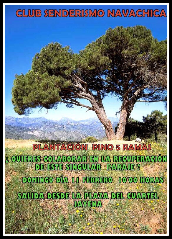 CampBermejales's tweet photo. Cumple uno de tus objetivos y #plantaunarbol 🌲Colabora con la #reforestacion el próximo 11 de Febrero desde #jayena con #clubsenderismonavachica https://t.co/5wS1xhS06Y