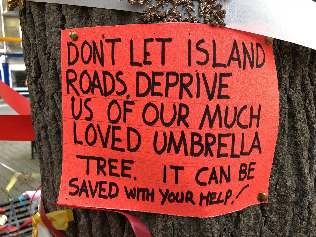 ChrisGPackham's tweet image. Trees aren’t for councils , they’re for life . Long life , many lives , the lives of many things . So come on @iwight and Mr Lloyd @MayorEastCowes please listen to your community and fix it rather than fell it ! @treesforlifeuk @TreesforCities @WoodlandTrust
