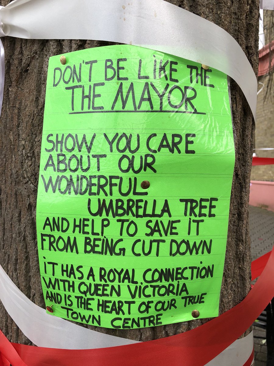 ChrisGPackham's tweet image. Trees aren’t for councils , they’re for life . Long life , many lives , the lives of many things . So come on @iwight and Mr Lloyd @MayorEastCowes please listen to your community and fix it rather than fell it ! @treesforlifeuk @TreesforCities @WoodlandTrust