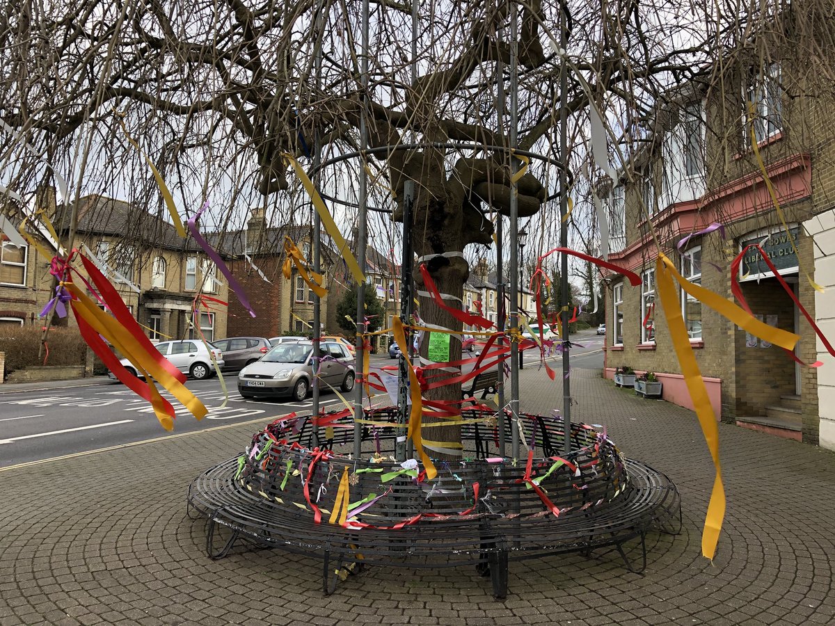 ChrisGPackham's tweet image. Trees aren’t for councils , they’re for life . Long life , many lives , the lives of many things . So come on @iwight and Mr Lloyd @MayorEastCowes please listen to your community and fix it rather than fell it ! @treesforlifeuk @TreesforCities @WoodlandTrust