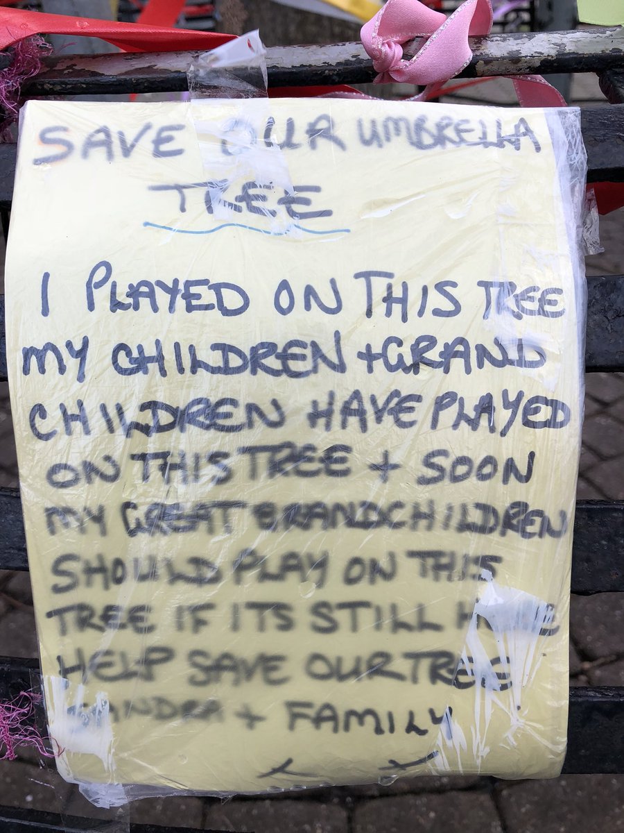 ChrisGPackham's tweet image. Trees aren’t for councils , they’re for life . Long life , many lives , the lives of many things . So come on @iwight and Mr Lloyd @MayorEastCowes please listen to your community and fix it rather than fell it ! @treesforlifeuk @TreesforCities @WoodlandTrust