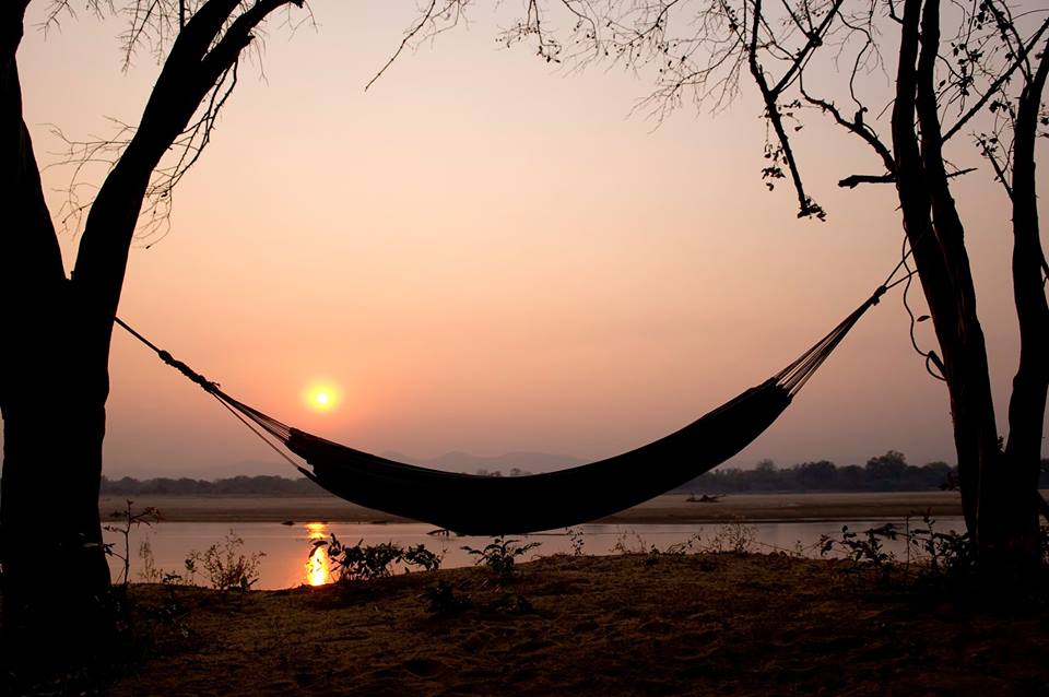 How's your year going so far? Remember to take time to take care of yourself! #Safari #TravelTuesday #Zambia 
bit.ly/2qMivPe