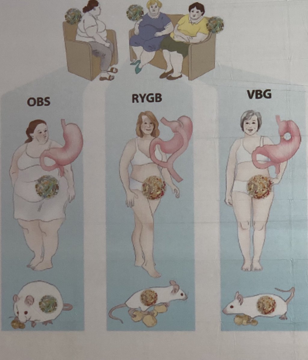 Rsanchezsantos tweet media