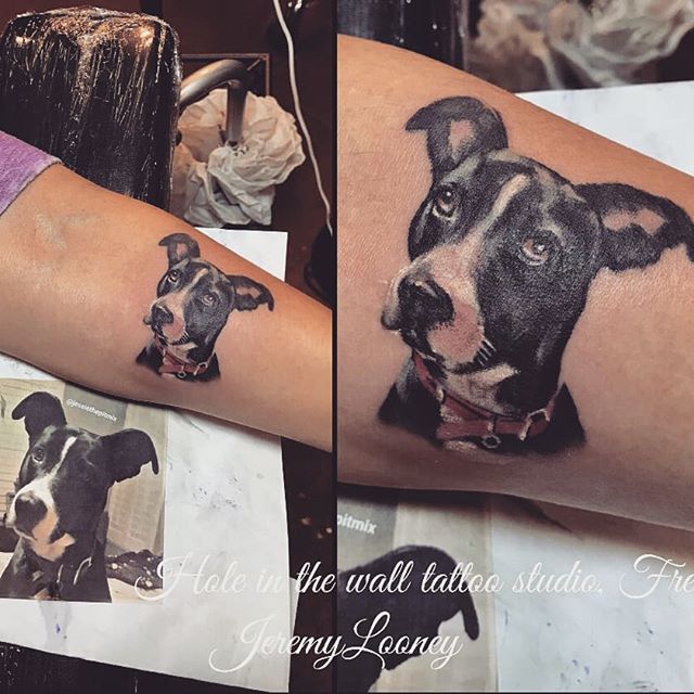 Jessiethepitmix's tweet photo. So this happened last night. Mom found an amazing tattoo artist. @holeinthewalltattoostudio . I think it looks just like me! Thanks, Jeremy! #jt #micropettattoo #momlovesme #tattoo #newink #weloveit #itsapitty #showusyourpits #pitmixrescues #rescue #whos… https://t.co/lunt2H3vBp https://t.co/7iErnLyrFi