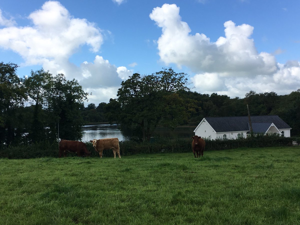 johnhenningmoo's tweet photo. The Ulster Grassland Society’s Grassland Farmer of the Year 2017 is beef & sheep farmer @johnegerton36 from Rosslea, Co Fermanagh
Congratulations John & thanks to Sponsor @DanskeBank_UK #UGS #GFY17 https://t.co/qxU0k4Dsr6