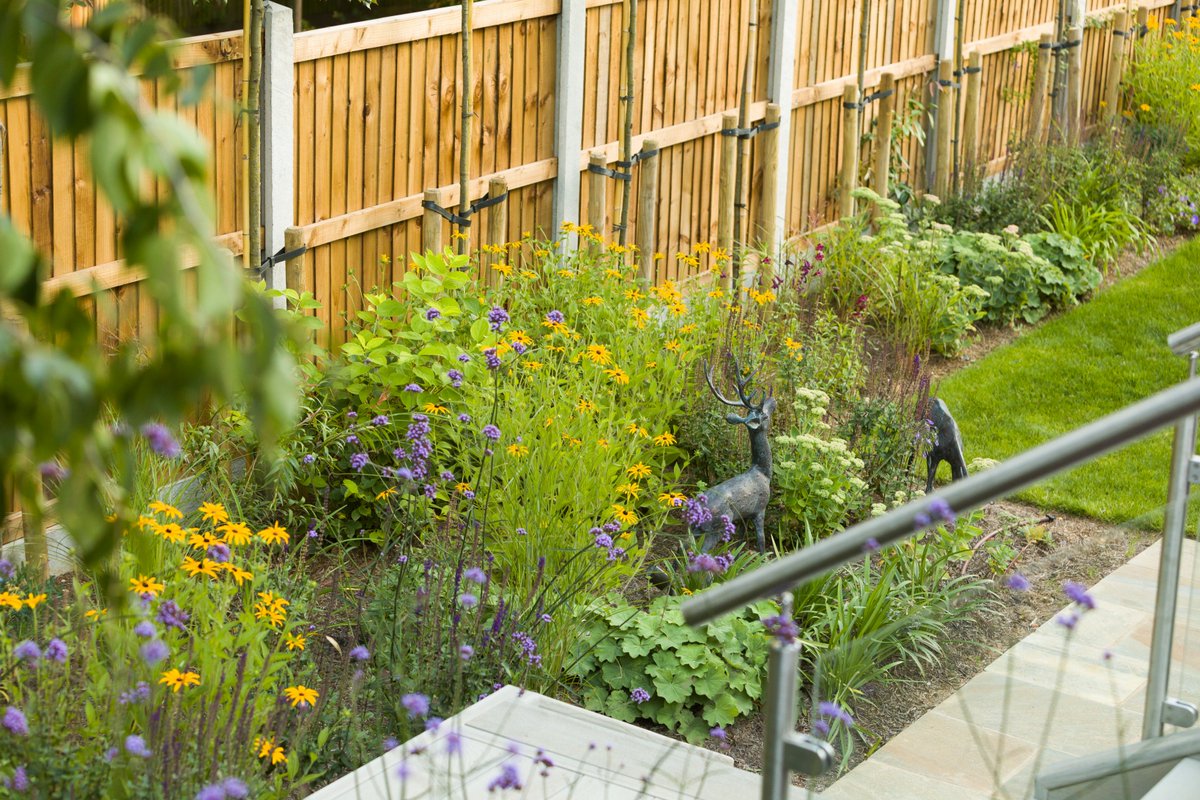 Anthea Harrison tweet media