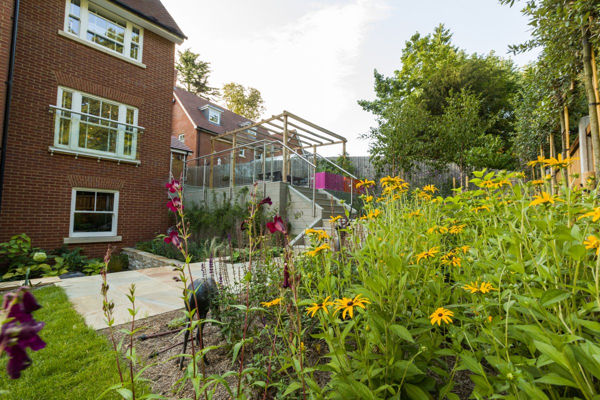 Anthea Harrison tweet media