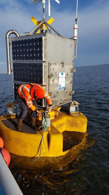 @MariaBoxFP7 tweet media