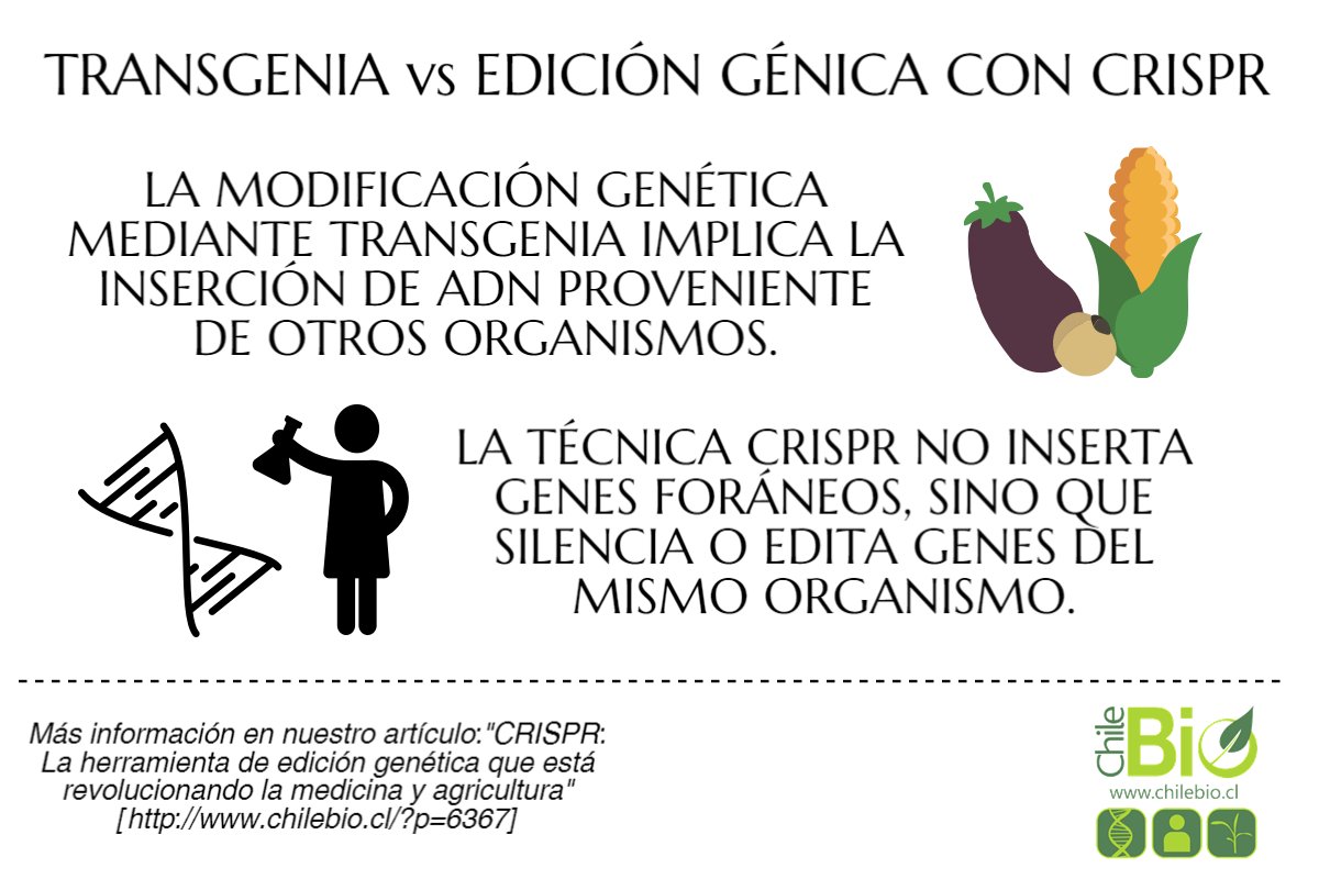 ChileBio_AG's tweet image. CRISPR: La herramienta de edición genética que está revolucionando la medicina y agricultura ow.ly/a6zL30hVhVu