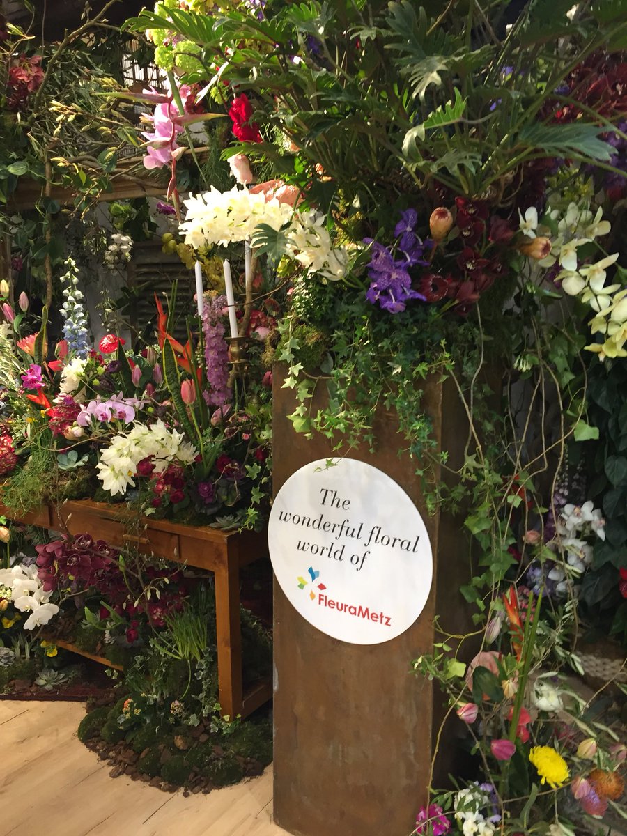 fleurametz_en's tweet photo. Everything is set up and the place smells divine! Drop by ourstand for a chat and enjoy a fresh cup of coffee while you’re there. #IPM #Essen #messessen https://t.co/jWYTCJL6sz