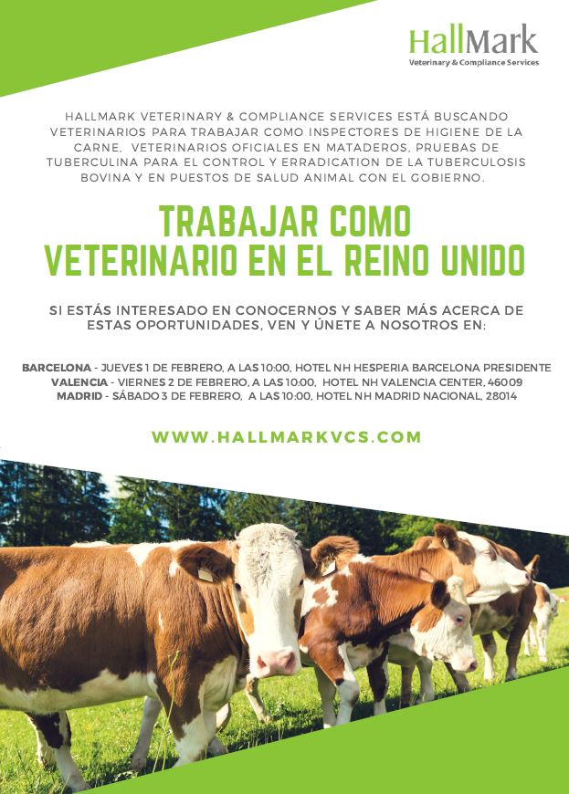 HallMarkVCS's tweet image. Come and meet us next week in Barcelona, Valencia or Madrid to find out about exciting veterinary career opportunities with HallMark! @universidad_uax @UCHCEUniversity @UMU @fvulpgc @VeterinariaUCO @infovetcaceres @VeterinariosZgz @FVeterinariaUZ @unicomplutense @UABBarcelona