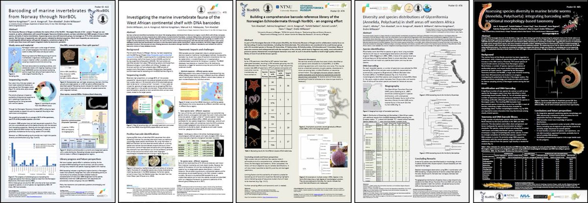 KenirtaK's tweet photo. Vi har laget en kort presentasjon av de fem posterne vi i fra Universitetsmuseet @uib hadde med oss til #IBOL2017 i november - klikk deg inn for รฅ lese mer! @norwbol @Artsdatabanken https://t.co/cDteynYoGT https://t.co/BFog4kAJrU