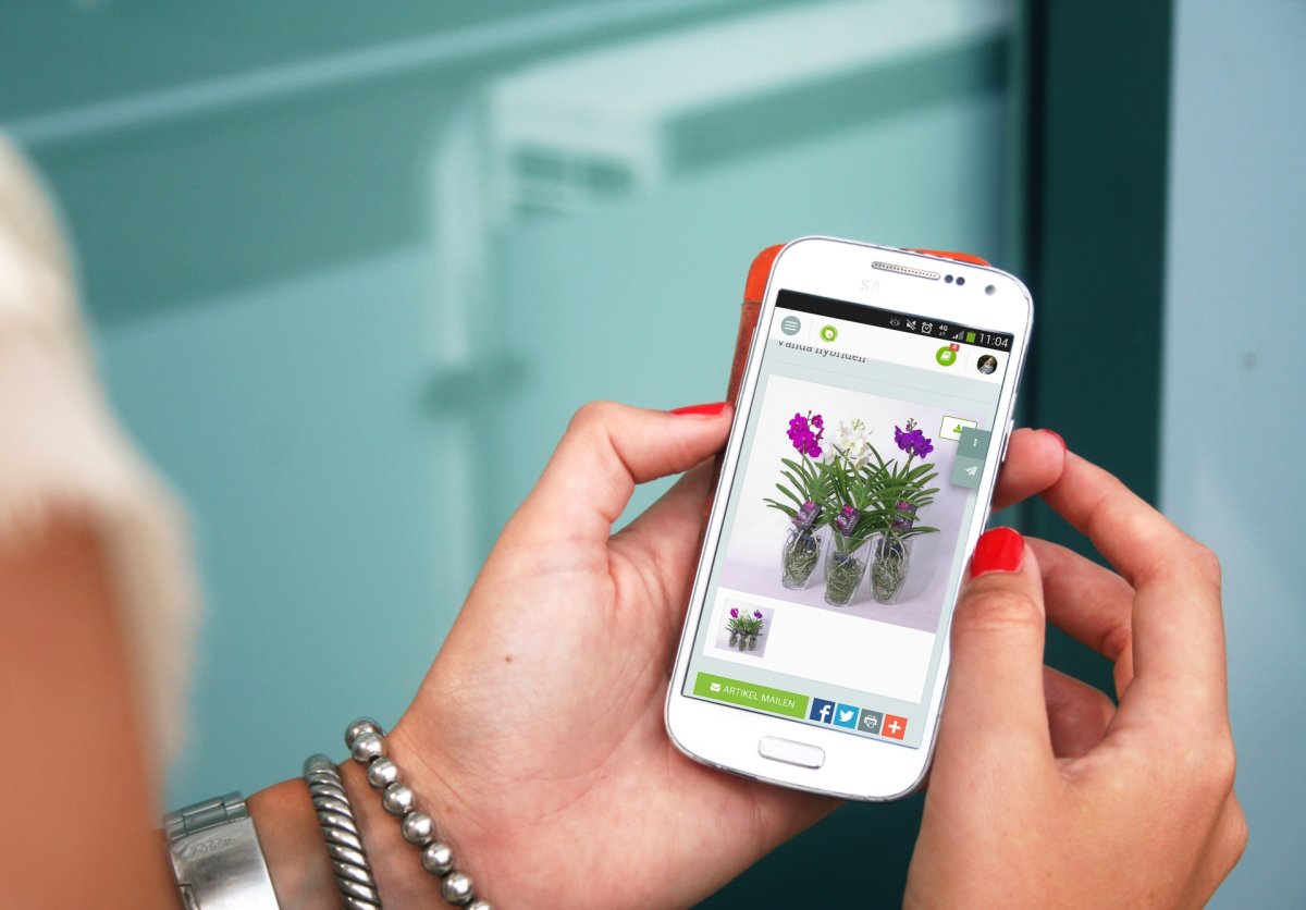 TopsectorTU's tweet photo. Lees het laatste nieuws @TopsectorTU met oa opening Call Seed Money Projecten, de zuiveringsplicht, TKI TU Netwerkdag 2018 op 3 april, #IE2018, inzet plantenstoffen als duurzame gewasbescherming #Horticulture @NLTopsectoren https://t.co/KqWyAGD8ge https://t.co/qp9U18iVVv