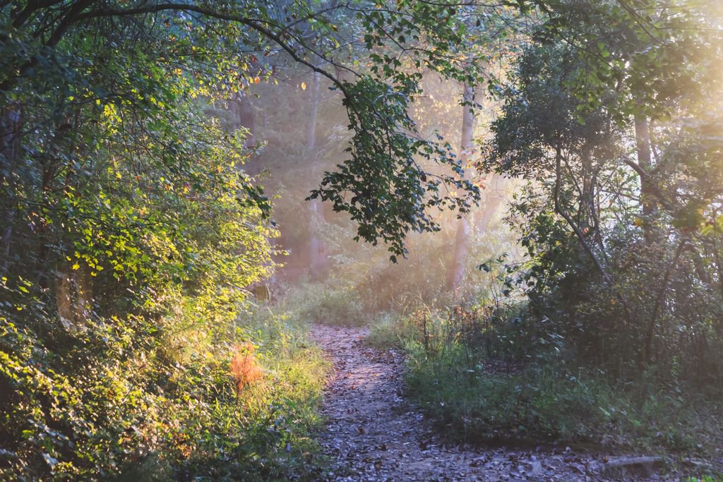Warming Dreams
#rays #morning #binded #ThePhotoHour