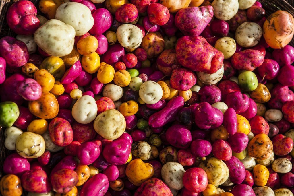 FAOKnowledge's tweet photo. Maintaining #biodiversity is important for producing nutritious food, improving rural livelihoods and enhancing the resilience of people and communities. https://t.co/a2tQfEh72q