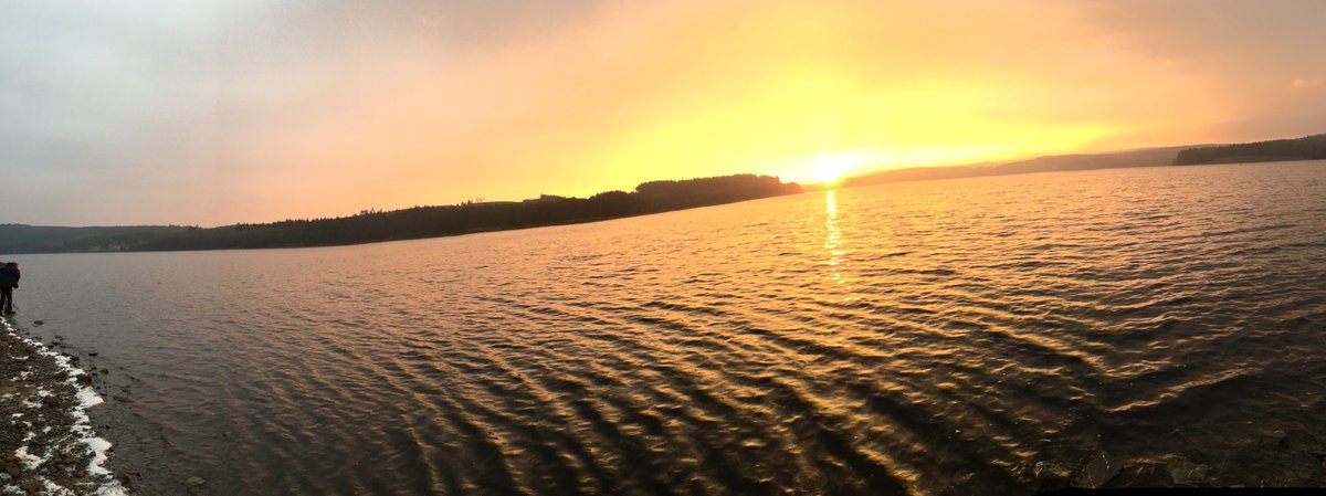 Ed_Durham's tweet image. 