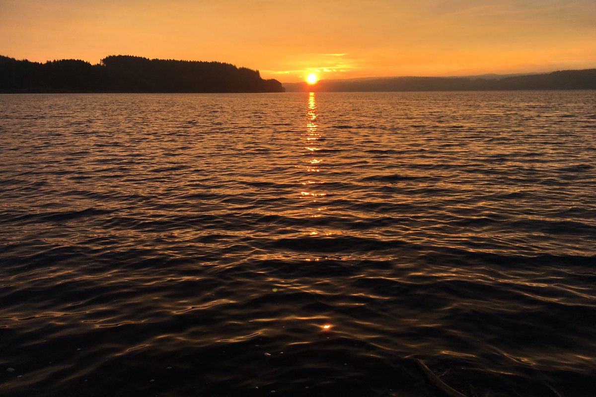 Ed_Durham's tweet image. 