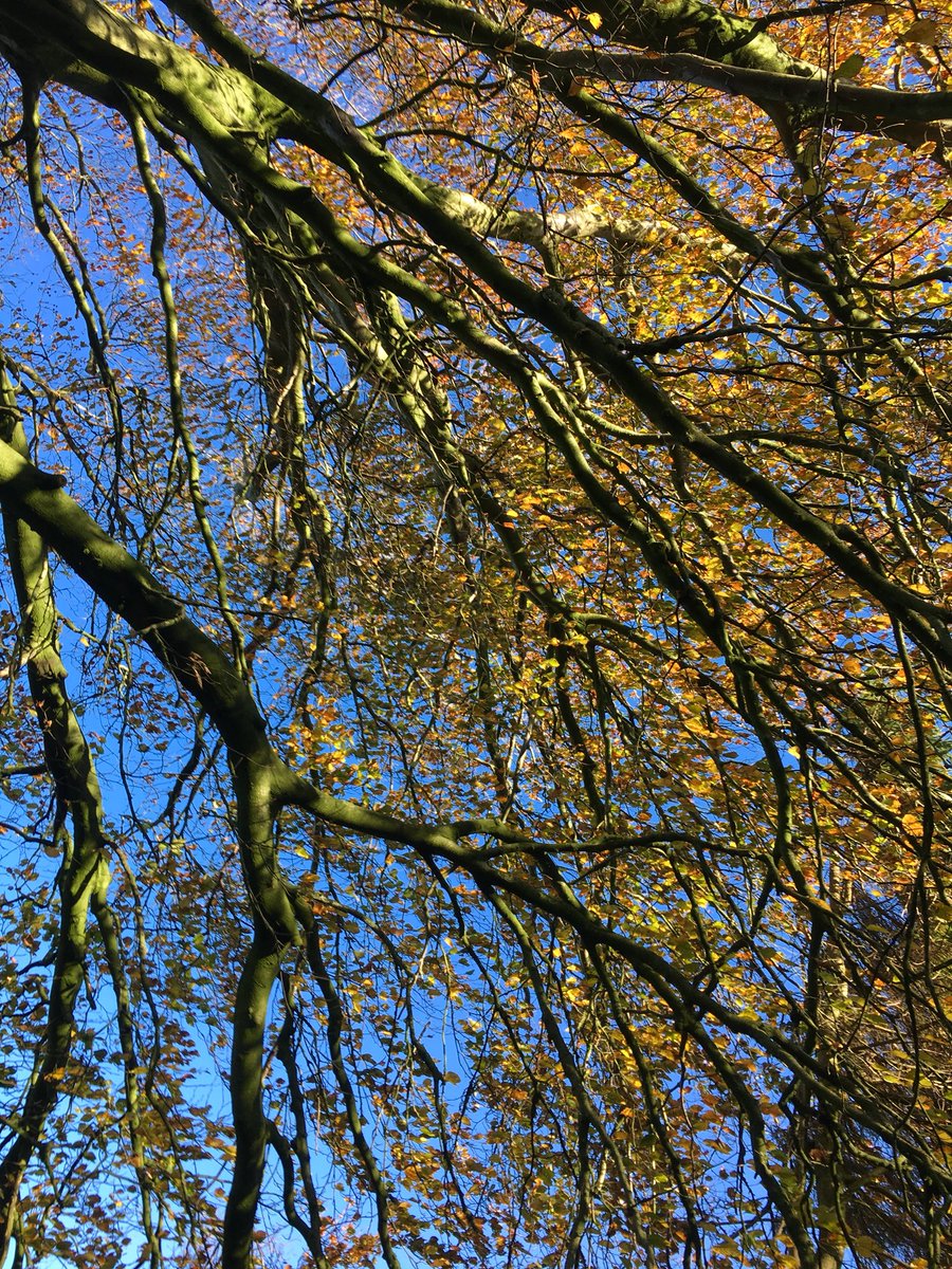 Ed_Durham's tweet image. 