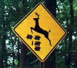 collisionworks's tweet photo. The end is near..."Hit a Deer, Win Some Gear" ends Jan. 31st, 2017. Get your car in! 
#deerhit #Hurry

https://t.co/oAKUplEU0f https://t.co/d8eZxIy3Jf