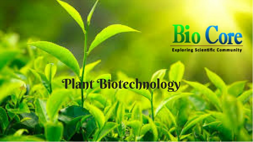 biotechijbb's tweet photo. Explore the Scientific topics of the Biotechnology Journal and choose your mainstream. https://t.co/cMkUgAzz82
#Biocore_Group
#Biocore_Open_Access_Journals
#IJBB
#Biotechnology_Journal https://t.co/lQG5e3CKc7