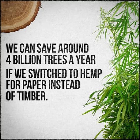 Switch to hemp for paper instead of timber. #GoGreen #saveplanet #spreadawareness