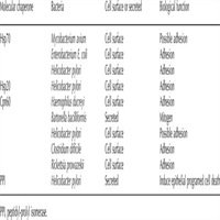 Bodies of Knowledge in Ancient Mesopotamia: The Diviners of Late Bronze Age