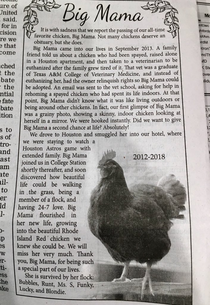 Photo of an obituary honoring a family’s chicken.