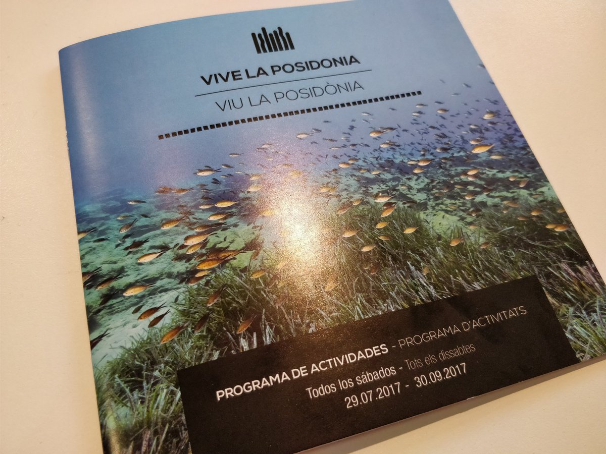 mamenflow's tweet photo. Hay que mentalizarse que hay que cuidar la poseidonia de nuestros fondos marinos #DanVida @EivissaIbiza @Ibiza_Travel https://t.co/FpNksrCpSg