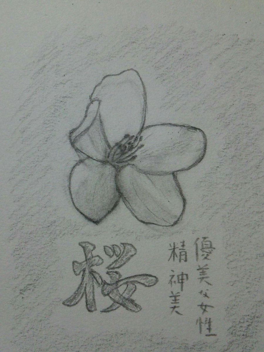 山桜 Twitterren 1番好きな花 花言葉 桜 鉛筆画