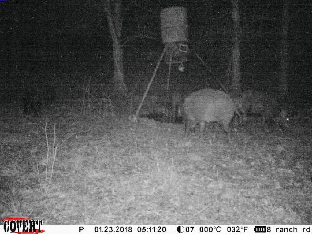 Joe Davis tweet media