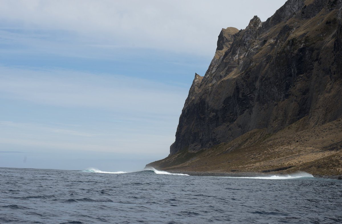 Ayer, celebramos que el Consejo de Ministros de Chile aprobó la creación de dos nuevos parques marinos: el Parque Marino Juan Fernández con 283 mil km2 y el Parque Marino Cabo de Hornos con 140 mil km2.