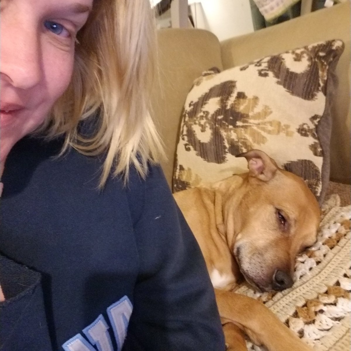 #workfromhome #bestdayever #pjs #pitbull #lovelife #goals #neverinamillionyears