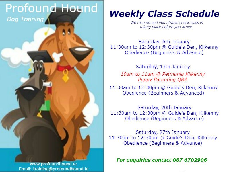HoundIrl's tweet photo. January class schedule attached. One to one training also available. 
Contact us to book or for more info.
 @petmaniaireland @petdepot @whatsonkilkenny @redmills @citycentrevete 
#dogtraining #dogbehaviour #welovedogs #dogobedience #loveyourpuppy https://t.co/vVfNTEi2OR