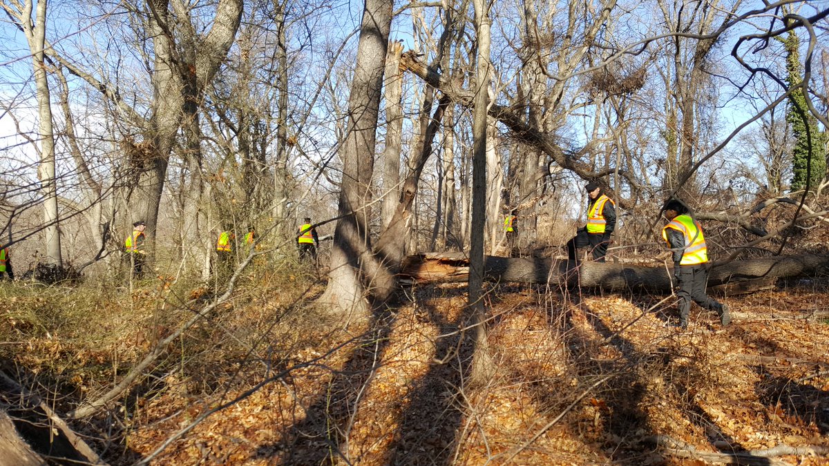 PPDExplorers's tweet photo. Answering the call! @PhillyPolice Explorers conducting search @PPD08Dist Pennypack on missing senior citizen from Holmesburg @PPDVictmSrvcs https://t.co/hk94RmueRd