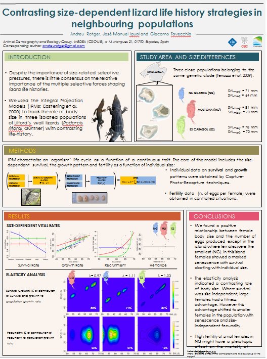 IMEDEA_UIB_CSIC's tweet photo. ¡Nuestra enhorabuena a Andreu Rotger de #IMEDEA, por ganar el premio al segundo mejor poster cientifico en el congreso de la Sociedad Española de Biologia Evolutiva! https://t.co/l6U4IjqykU #SESBE https://t.co/iN1n9sJg5o