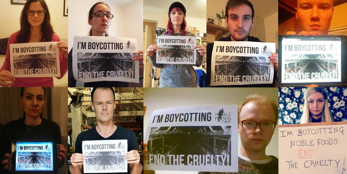 .<a href="/wearespider/">Spider</a> you can tell your client, Noble Foods, that we're boycotting ALL their brands until they publicly commit to go 100% cage-free! Keeping hens in cages is disgusting and old-fashioned! #BoycottNobleFoods #NotSoNoble