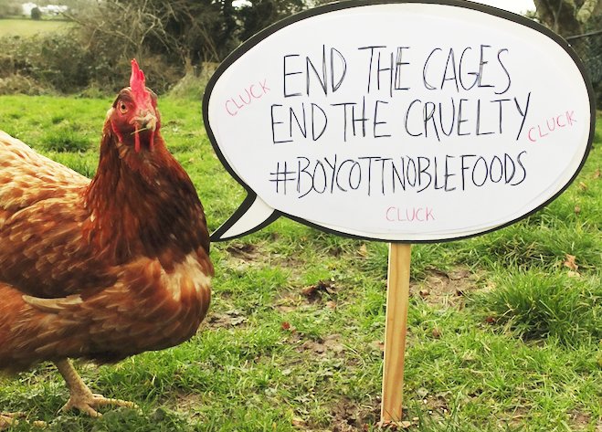 .<a href="/wearespider/">Spider</a> I stand with the 4.3 million hens that your client, Noble Foods, still keeps in small, dim cages their entire lives and myself, my friends and my family, are no longer buying any Noble Foods products #BoycottNobleFoods #MarchForHens