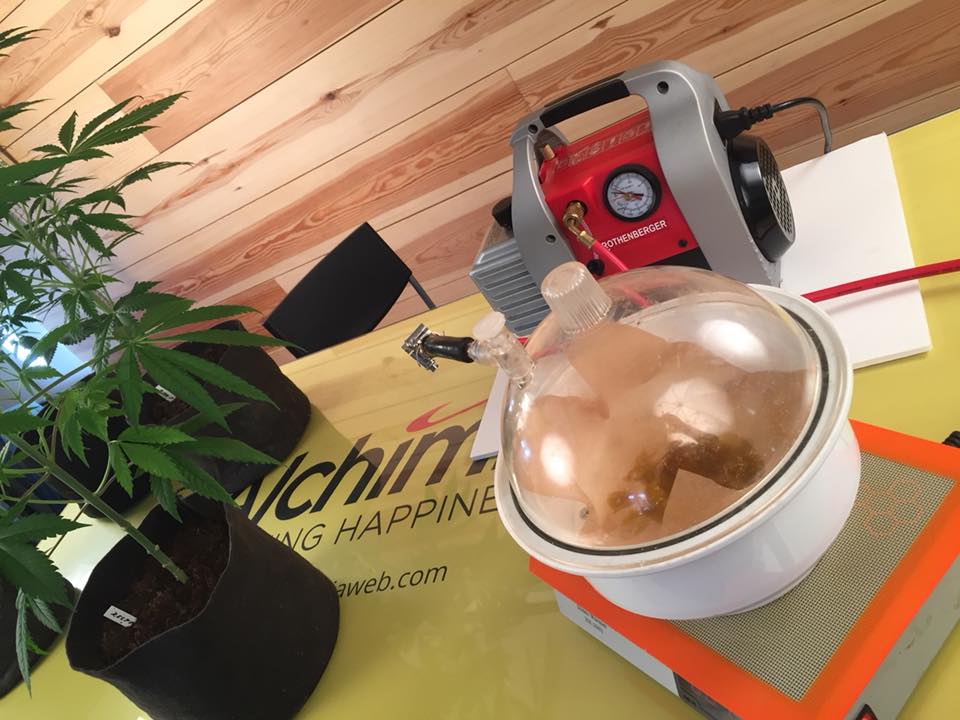 AlchimiaGrow's tweet photo. Preparando Nuevos Videotutoriales.... De Extracciones va el tema! πππ
#Extractions #BHO #oil #errl #shatter #concentrates #dab #crumble #dablife #dabaddict #dibsextracts #710 #wax #dab #420 #dabs #dabaholic #nugrun #dewaxed #dabsallday #710society #honey #bhombs https://t.co/nVAFUqDKAy