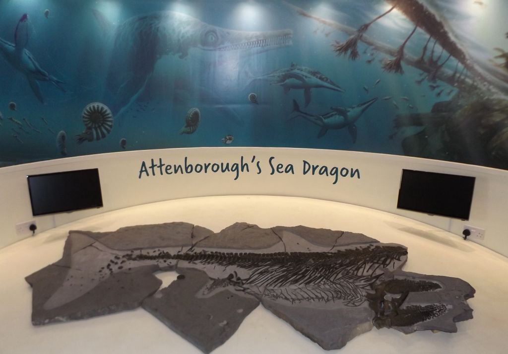 The incredible ichthyosaur that starred in the BBC documentary ‘Attenborough and the Sea Dragon’ will be on public display from 14th January 2018 until January 2019 <a href="/CharmouthHCC/">CharmouthHCC</a> for all to discover the story of this unique fossil.