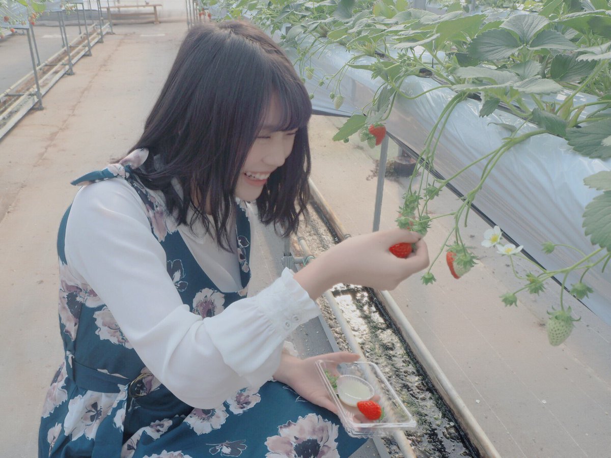 小畑優奈 今日はお仕事でイチゴ狩りへ たくさん食べて幸せです また詳しくはお知らせします イチゴ狩り 小畑優奈 今日はお仕事でイチゴ狩りへ たくさん食べて幸せです また詳しくはお知らせします イチゴ狩り