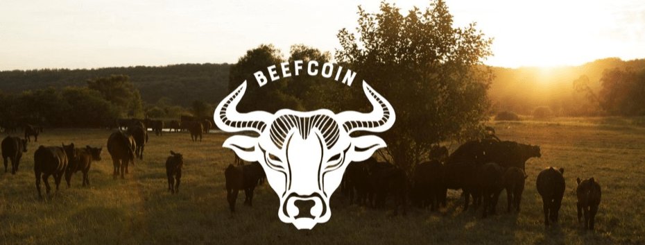 #BeefCoin: a cryptocurrency for the production of meat from the farm to the table crypto-economy.net/beefcoin-a-cry…