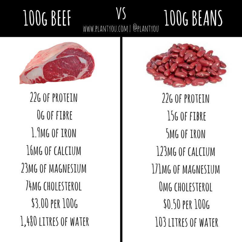Reducetarian's tweet image. Reducetarian pro-tip: Less meat, more beans 💪🏼  #meat #beans #protein #reducetarian #diet #health