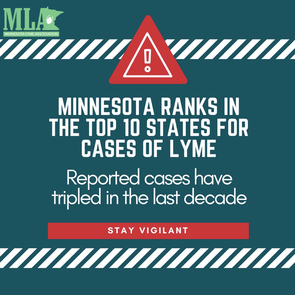 MN Lyme (@mnlyme_org) on Twitter photo 