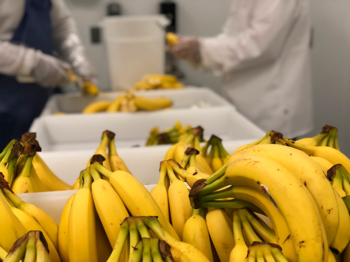 sofruitty's tweet photo. We put the #HAND in #HANDCRAFTED because we are BANANAS!
B🍌A🍌N🍌A🍌N🍌A 🍌 S
And we like things to taste #SoFruitty 😉 https://t.co/7ZgOZPnUPK