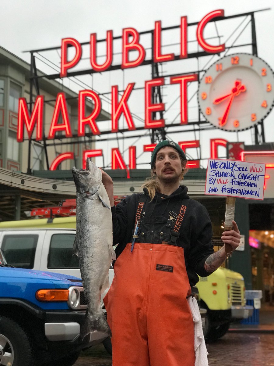 Wild salmon caught by wild fishermen and fisherwomen! #salmon #wild