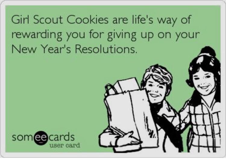 TaiylorMorgan's tweet photo. You have a little over a week to give up your resolutions or at least prepare to have temptation around! #CookieSeason #GSGI https://t.co/6AgFO5cTtC
