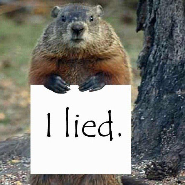 DadzBar's tweet image. Celebrate Groundhog Day at Dadz on Friday, February 2, 2018.  Have the signature Groundhog Day drink - sweet vermouth on the rocks with a twist.