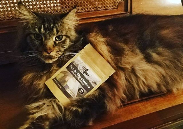 trailmanna's tweet photo. Our operations manager, Moose, likes to fuel and indulge with dark chocolate and grass-fed collage. This drinking chocolate from @trailside.kitchen is👌👌 #hiking #backpacking #findyourpark #backcountry #mountainlife #wilderness #darkchocolate #drinkin… https://t.co/IBmNEH1eS7 https://t.co/AGi2rPf0OI