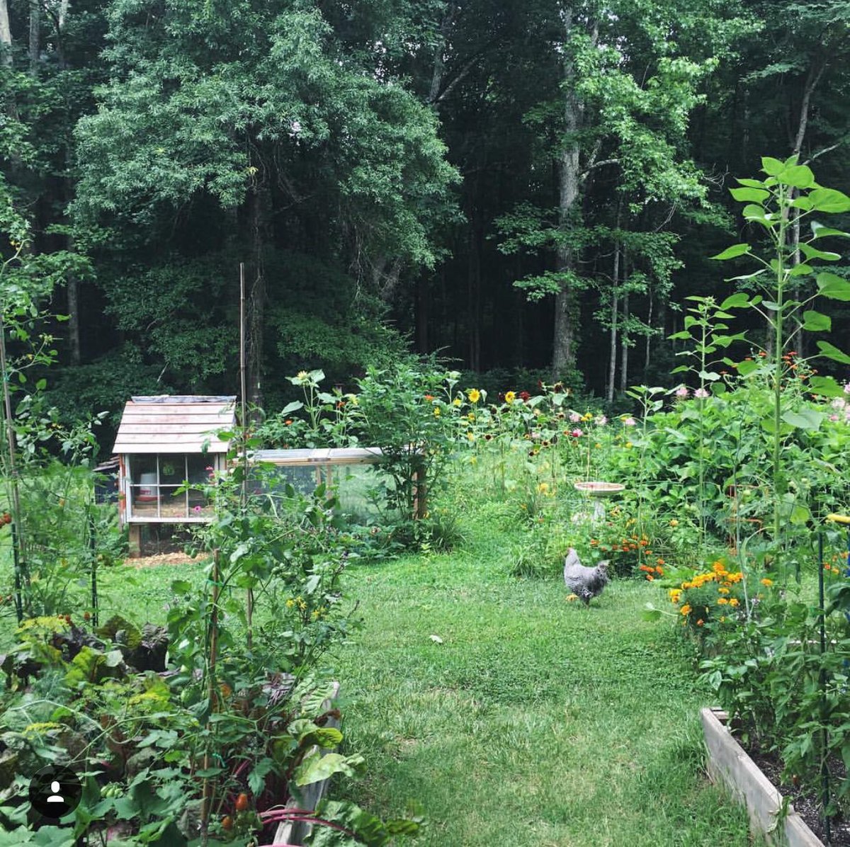 This is a wonderland 😍
📷:@hawriverhomestead